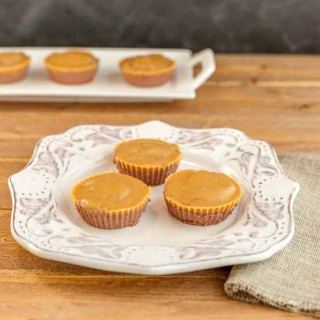 Chocolate Peanut Butter Mini Cheesecakes, grain free, low carb, easy no bake cheesecakes