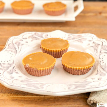Chocolate Peanut Butter Mini Cheesecakes- grain free, no bake, low carb