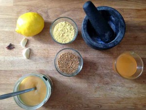 Mustard-Probiotic-Ingredients