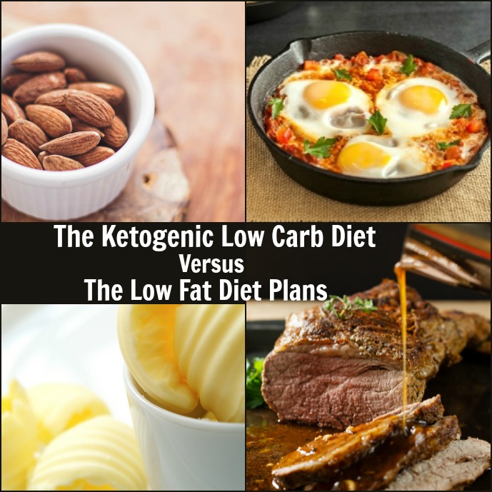Ketogenic Low Carb Diet Versus Low Fat Diet plans