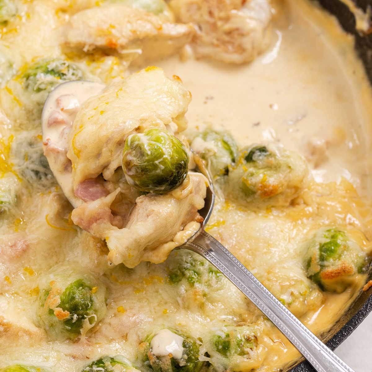 Brussels Sprouts Bacon Chicken in Parmesan Sauce Beauty and the Foodie